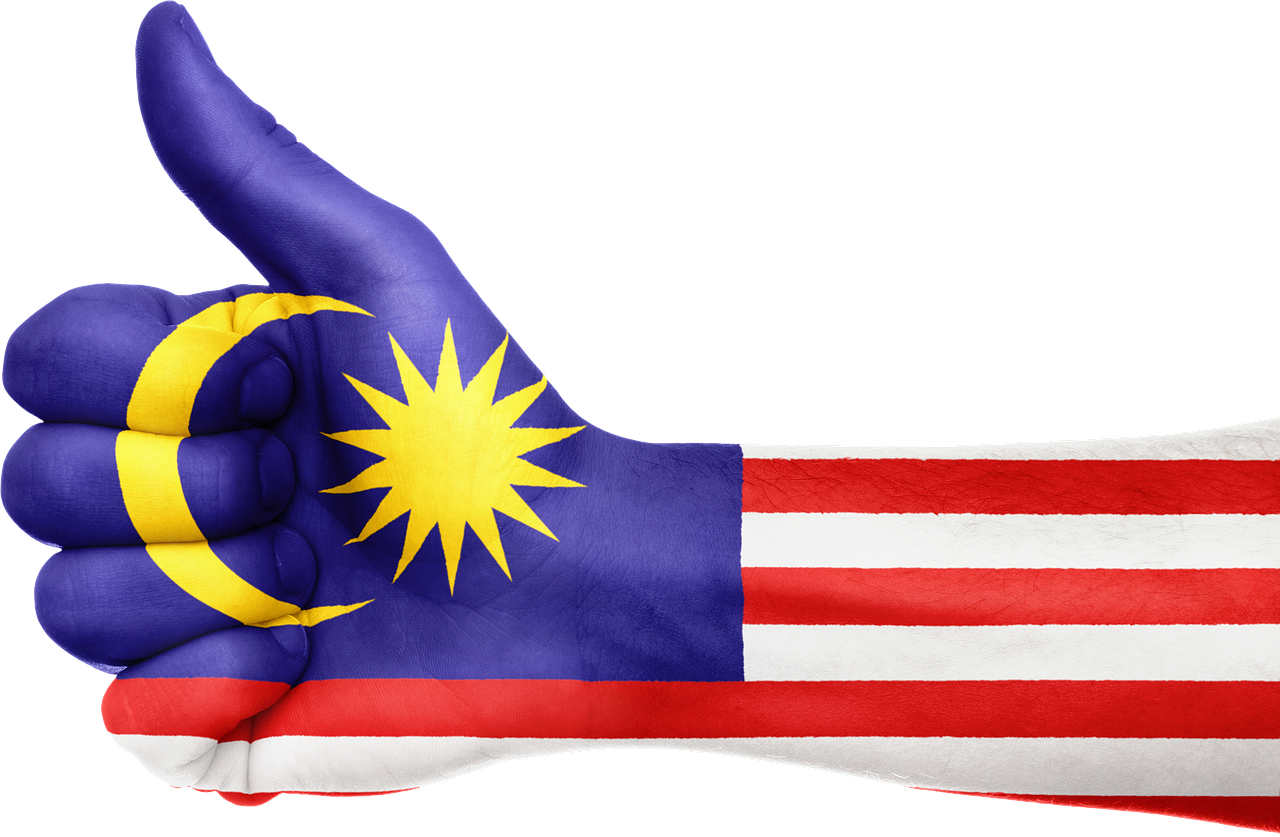 High Quality Malaysia flag hand thumbs up Blank Meme Template