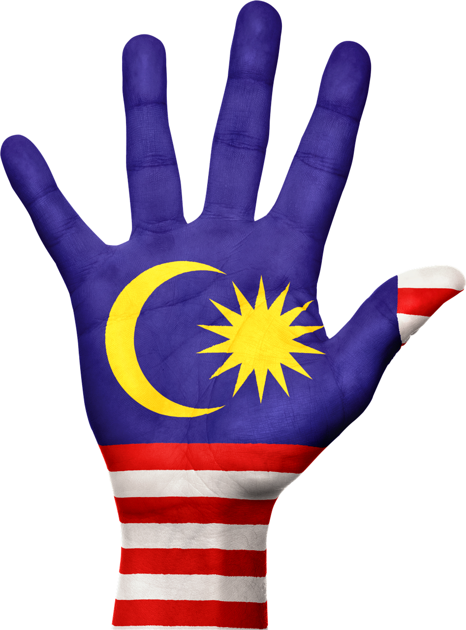 Malaysian flag hand Blank Meme Template