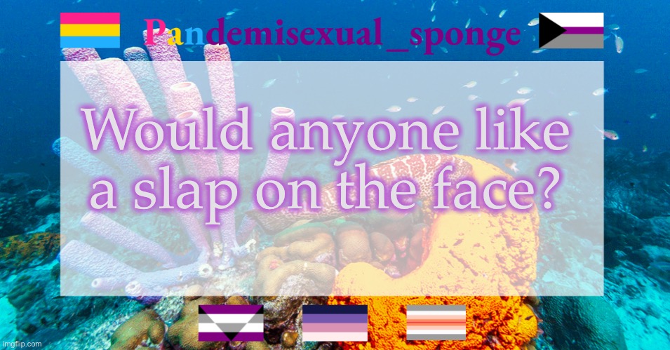 S l a p | Would anyone like a slap on the face? | image tagged in pandemisexual_sponge temp,demisexual_sponge | made w/ Imgflip meme maker