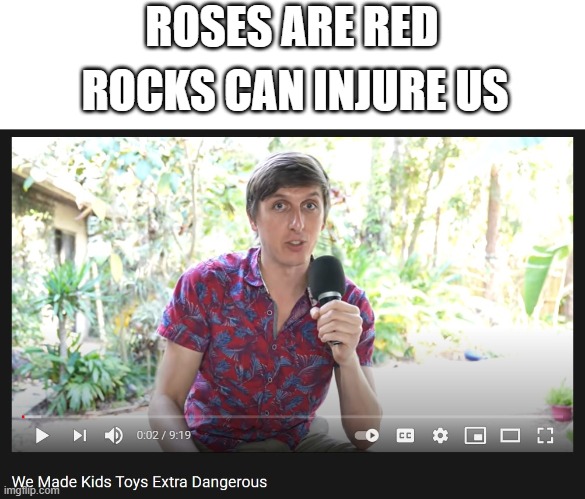 Roses are red | ROSES ARE RED; ROCKS CAN INJURE US | image tagged in memes,danger | made w/ Imgflip meme maker