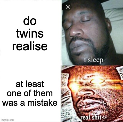 Sleeping Shaq Meme | do twins realise; at least one of them was a mistake | image tagged in memes,sleeping shaq | made w/ Imgflip meme maker