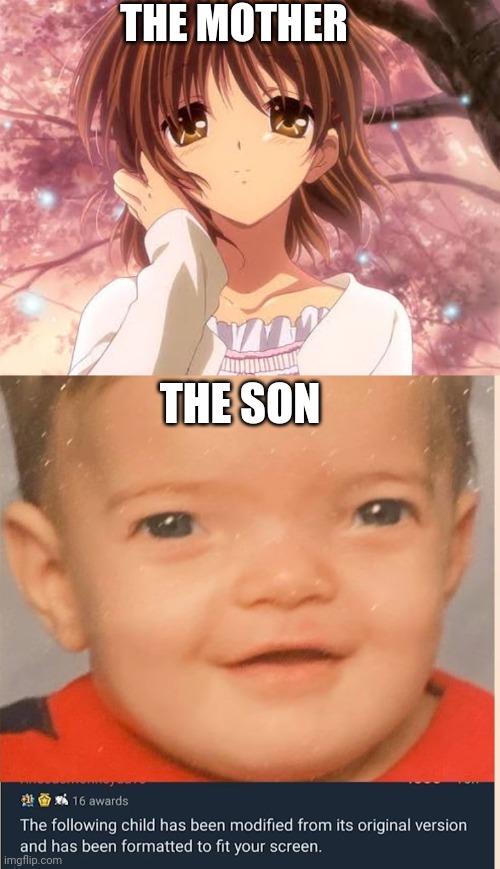 A little too wide eyes | THE MOTHER; THE SON | image tagged in clannad nagisa,anime,clannad,eyes,cursed comment | made w/ Imgflip meme maker