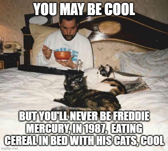 You May Be Cool | YOU MAY BE COOL; BUT YOU'LL NEVER BE FREDDIE MERCURY, IN 1987,  EATING CEREAL IN BED WITH HIS CATS, COOL | image tagged in freddie mercury,you may be cool | made w/ Imgflip meme maker