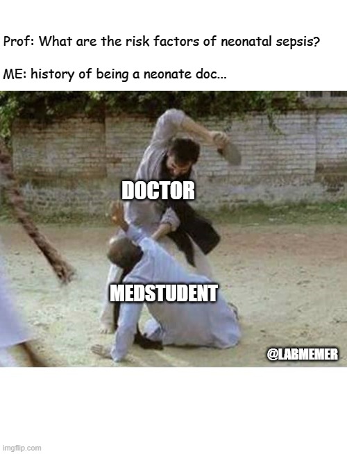 neontal sepsis | Prof: What are the risk factors of neonatal sepsis? ME: history of being a neonate doc... DOCTOR; MEDSTUDENT; @LABMEMER | image tagged in slap,medical | made w/ Imgflip meme maker