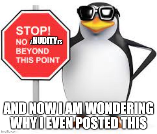 Stop! No advertisements beyond this point | NUDITY AND NOW I AM WONDERING WHY I EVEN POSTED THIS | image tagged in stop no advertisements beyond this point | made w/ Imgflip meme maker