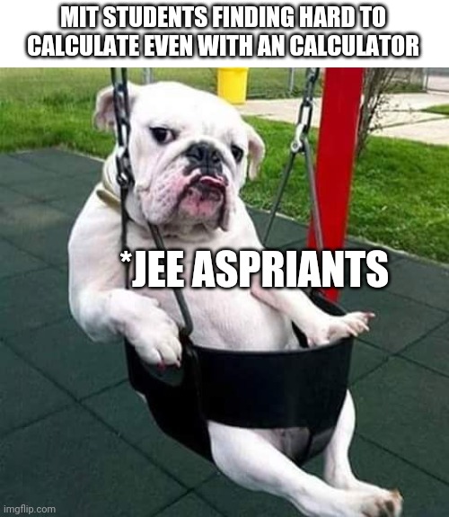bulldog thug | MIT STUDENTS FINDING HARD TO CALCULATE EVEN WITH AN CALCULATOR; *JEE ASPRIANTS | image tagged in bulldog thug | made w/ Imgflip meme maker