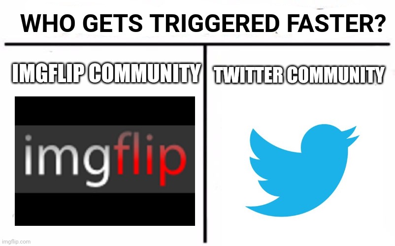 Everyone knows tho |  WHO GETS TRIGGERED FASTER? IMGFLIP COMMUNITY; TWITTER COMMUNITY | image tagged in memes,who would win | made w/ Imgflip meme maker