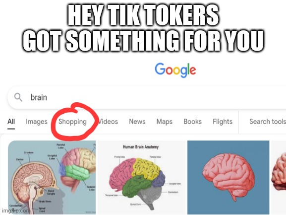 Hey tiktokers got something for you | HEY TIK TOKERS GOT SOMETHING FOR YOU | image tagged in tiktok,brain | made w/ Imgflip meme maker