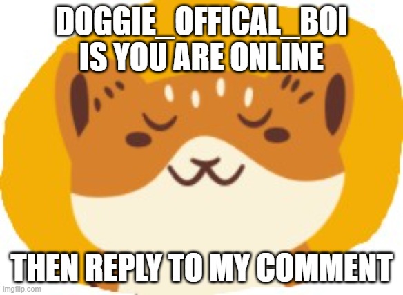 doggie_offical_boi | DOGGIE_OFFICAL_BOI IS YOU ARE ONLINE; THEN REPLY TO MY COMMENT | image tagged in funny cat | made w/ Imgflip meme maker