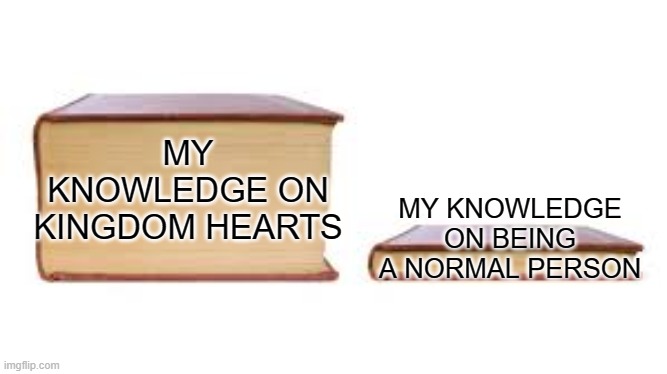 Big book small book | MY KNOWLEDGE ON BEING A NORMAL PERSON; MY KNOWLEDGE ON KINGDOM HEARTS | image tagged in big book small book | made w/ Imgflip meme maker