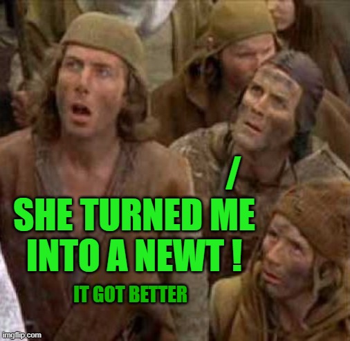 ◄► Reaction: She turned me into a newt | /
SHE TURNED ME
INTO A NEWT ! IT GOT BETTER | image tagged in turned me into a newt,comment,reaction | made w/ Imgflip meme maker