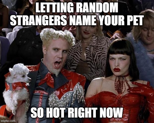 Mugatu So Hot Right Now Meme | LETTING RANDOM STRANGERS NAME YOUR PET; SO HOT RIGHT NOW | image tagged in memes,mugatu so hot right now,memes | made w/ Imgflip meme maker
