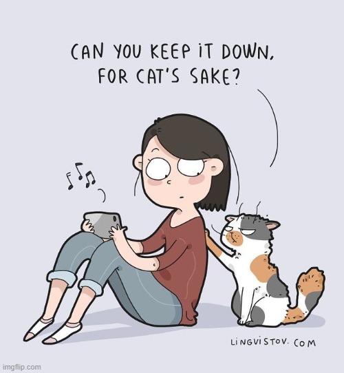 A Cat's Way Of Thinking | image tagged in memes,comics,cats,come on,no more,turn up the volume | made w/ Imgflip meme maker