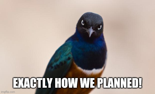 Evil Bird | EXACTLY HOW WE PLANNED! | image tagged in evil bird | made w/ Imgflip meme maker