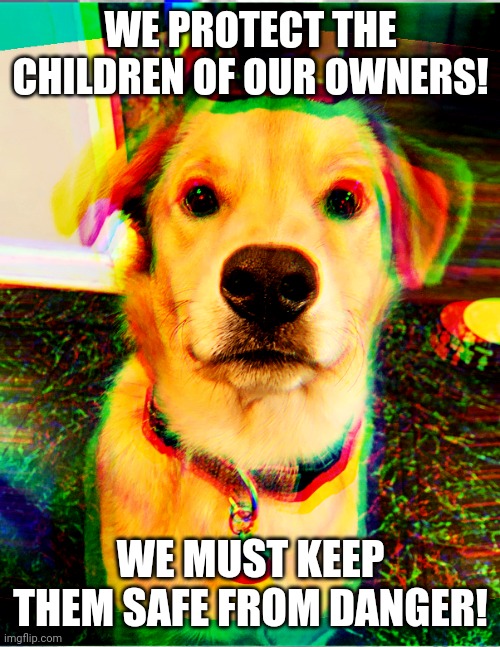 Serious dog | WE PROTECT THE CHILDREN OF OUR OWNERS! WE MUST KEEP THEM SAFE FROM DANGER! | image tagged in serious dog | made w/ Imgflip meme maker