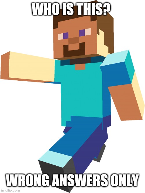 WHO IS THIS? WRONG ANSWERS ONLY | image tagged in minecraft steve,minecraft | made w/ Imgflip meme maker