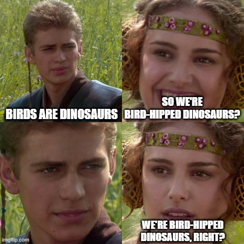 Birds are not bird-hipped | BIRDS ARE DINOSAURS; SO WE'RE BIRD-HIPPED DINOSAURS? WE'RE BIRD-HIPPED DINOSAURS, RIGHT? | image tagged in anakin padme 4 panel,birds,dinosaurs,dinosaur | made w/ Imgflip meme maker