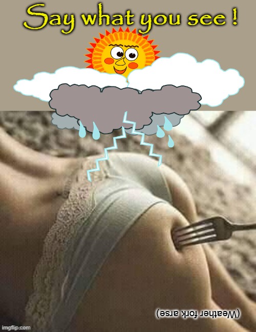 Say what you see ! | Say what you see ! (Weather fork arse) | image tagged in warm weather | made w/ Imgflip meme maker
