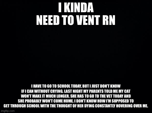 someone help | I KINDA NEED TO VENT RN; I HAVE TO GO TO SCHOOL TODAY, BUT I JUST DON’T KNOW IF I CAN WITHOUT CRYING. LAST NIGHT MY PARENTS TOLD ME MY CAT WON’T MAKE IT MUCH LONGER. SHE HAS TO GO TO THE VET TODAY AND SHE PROBABLY WON’T COME HOME. I DON’T KNOW HOW I’M SUPPOSED TO GET THROUGH SCHOOL WITH THE THOUGHT OF HER DYING CONSTANTLY HOVERING OVER ME. | image tagged in black background | made w/ Imgflip meme maker