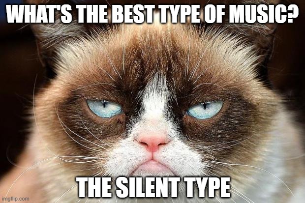 Musical Cat (not) | WHAT'S THE BEST TYPE OF MUSIC? THE SILENT TYPE | image tagged in memes,grumpy cat not amused,grumpy cat,music,silent | made w/ Imgflip meme maker