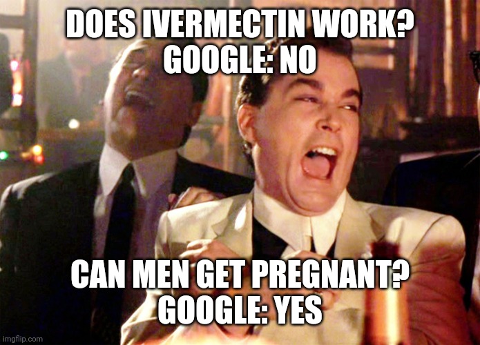 Google is full of shit. | DOES IVERMECTIN WORK?
GOOGLE: NO; CAN MEN GET PREGNANT?
GOOGLE: YES | image tagged in memes | made w/ Imgflip meme maker