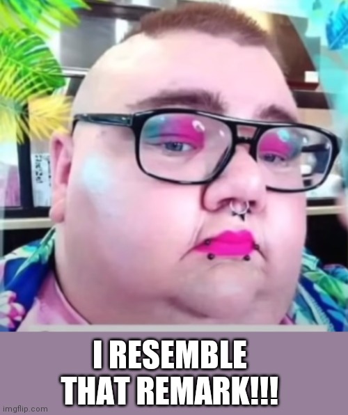 I RESEMBLE THAT REMARK!!! | image tagged in cnn liberal | made w/ Imgflip meme maker