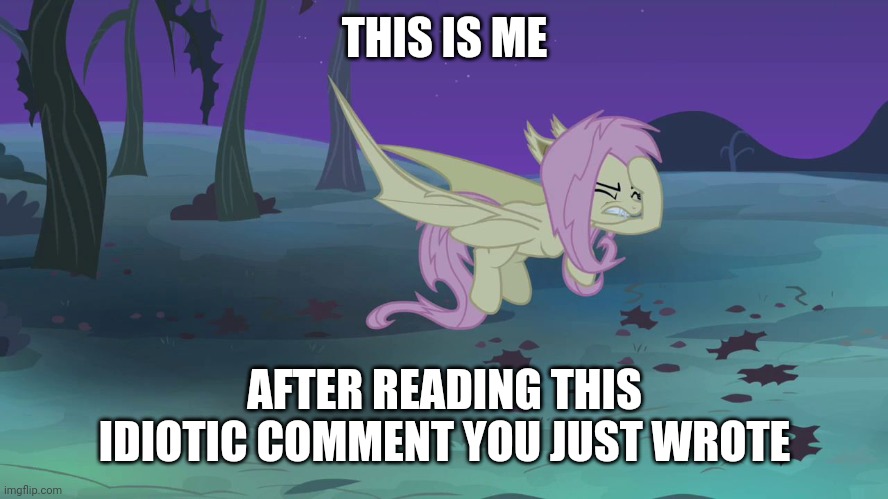 flutterhoofbat | THIS IS ME; AFTER READING THIS IDIOTIC COMMENT YOU JUST WROTE | image tagged in flutterhoofbat | made w/ Imgflip meme maker