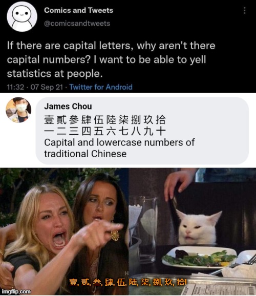 It turns out you can | 壹, 贰, 叁, 肆, 伍, 陆, 柒, 捌, 玖, 拾! | image tagged in woman yelling at cat,funny memes,chinese,numbers | made w/ Imgflip meme maker