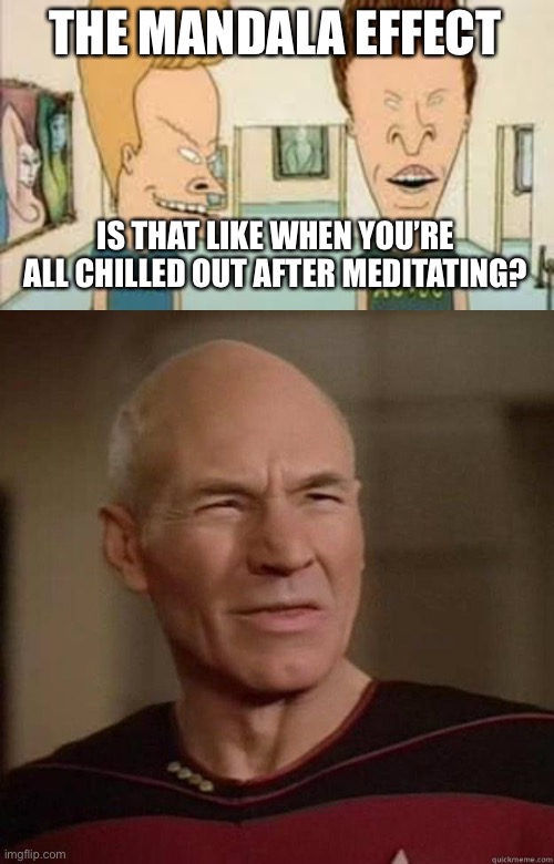 THE MANDALA EFFECT; IS THAT LIKE WHEN YOU’RE ALL CHILLED OUT AFTER MEDITATING? | image tagged in beavis and butthead,picard_disgusted | made w/ Imgflip meme maker