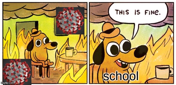 This Is Fine Meme | school | image tagged in memes,this is fine | made w/ Imgflip meme maker