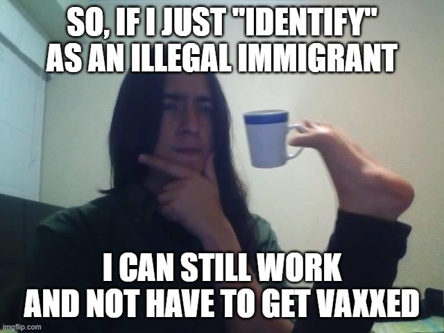 Hmmmm | SO, IF I JUST "IDENTIFY" AS AN ILLEGAL IMMIGRANT; I CAN STILL WORK AND NOT HAVE TO GET VAXXED | image tagged in hmmmm | made w/ Imgflip meme maker