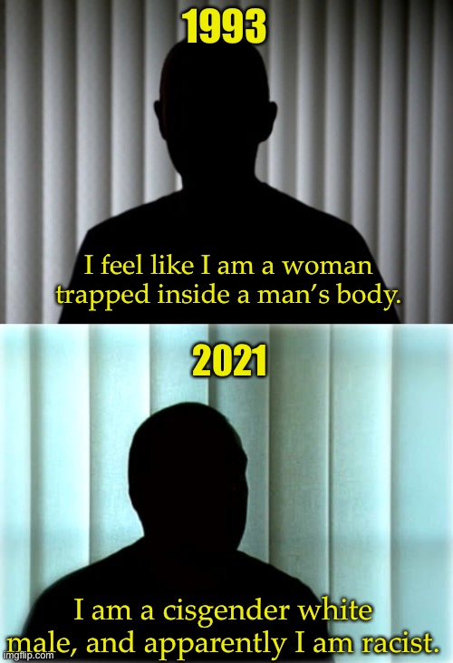 Silhouette Interview | 1993; I feel like I am a woman trapped inside a man’s body. 2021; I am a cisgender white male, and apparently I am racist. | image tagged in silhouette interview,funny,funny memes | made w/ Imgflip meme maker