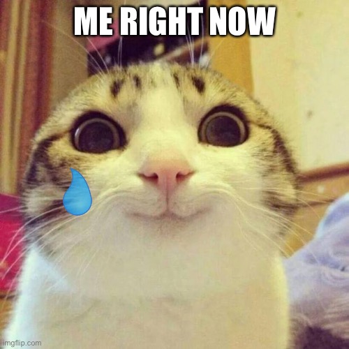 Smiling Cat Meme | ME RIGHT NOW | image tagged in memes,smiling cat | made w/ Imgflip meme maker