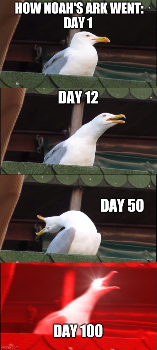 Inhaling Seagull | HOW NOAH'S ARK WENT:
DAY 1; DAY 12; DAY 50; DAY 100 | image tagged in memes,inhaling seagull | made w/ Imgflip meme maker