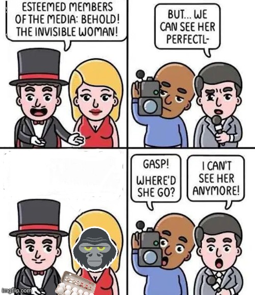 monkey business | image tagged in invisible woman,california | made w/ Imgflip meme maker