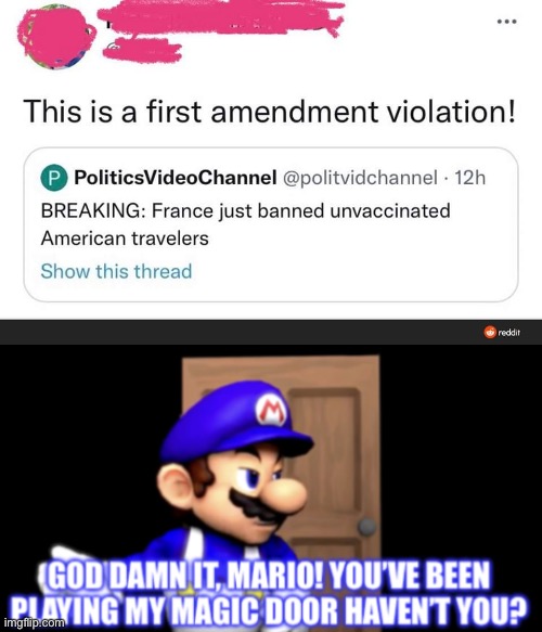Wtf, did France banned unvaccinated travelers for? | image tagged in smg4 door extended,memes,france,dank memes,wtf | made w/ Imgflip meme maker