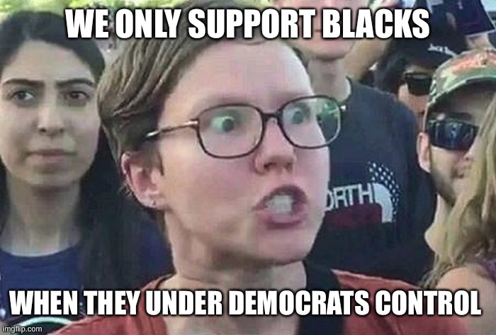 Triggered Liberal | WE ONLY SUPPORT BLACKS WHEN THEY UNDER DEMOCRATS CONTROL | image tagged in triggered liberal | made w/ Imgflip meme maker