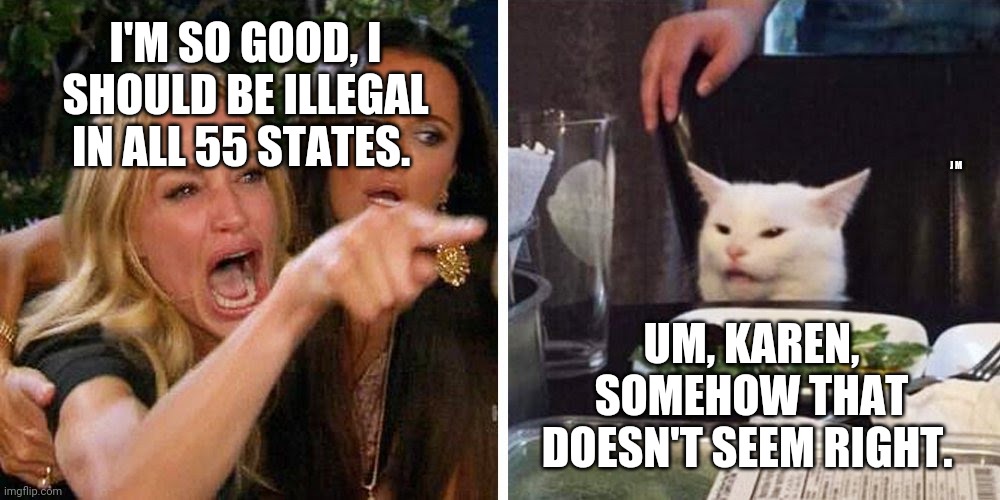 Smudge the cat | I'M SO GOOD, I SHOULD BE ILLEGAL IN ALL 55 STATES. J M; UM, KAREN, SOMEHOW THAT DOESN'T SEEM RIGHT. | image tagged in smudge the cat | made w/ Imgflip meme maker
