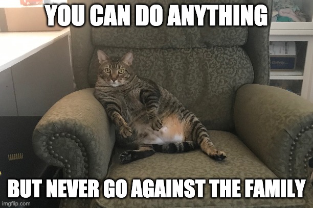 You Can do Anything, but dont go against the family | YOU CAN DO ANYTHING; BUT NEVER GO AGAINST THE FAMILY | image tagged in funny,funny memes,grumpy cat,the godfather | made w/ Imgflip meme maker