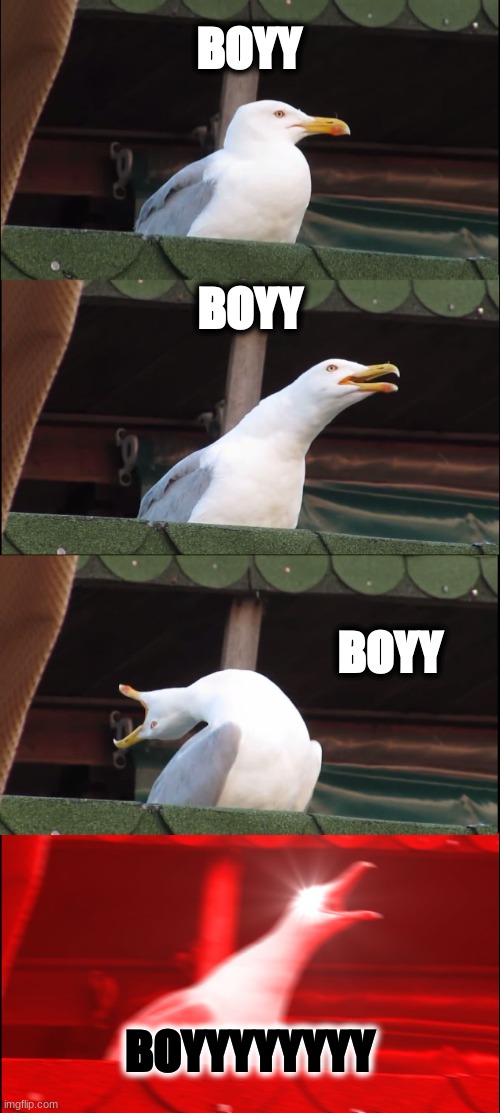 boyyyy | BOYY; BOYY; BOYY; BOYYYYYYYY | image tagged in memes,inhaling seagull | made w/ Imgflip meme maker