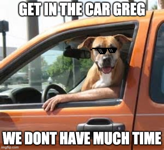 109 days left in the yr | GET IN THE CAR GREG; WE DONT HAVE MUCH TIME | image tagged in no time to explain,car,dog,greg | made w/ Imgflip meme maker