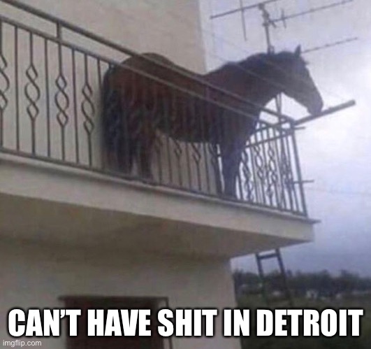 Juan | CAN’T HAVE SHIT IN DETROIT | image tagged in juan | made w/ Imgflip meme maker