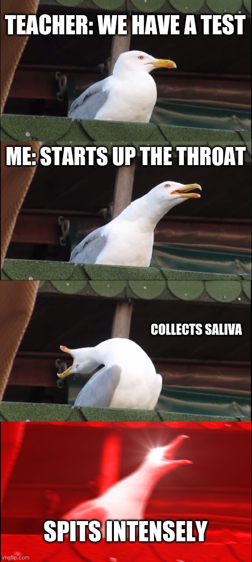 Segel |  TEACHER: WE HAVE A TEST; ME: STARTS UP THE THROAT; COLLECTS SALIVA; SPITS INTENSELY | image tagged in memes,inhaling seagull | made w/ Imgflip meme maker