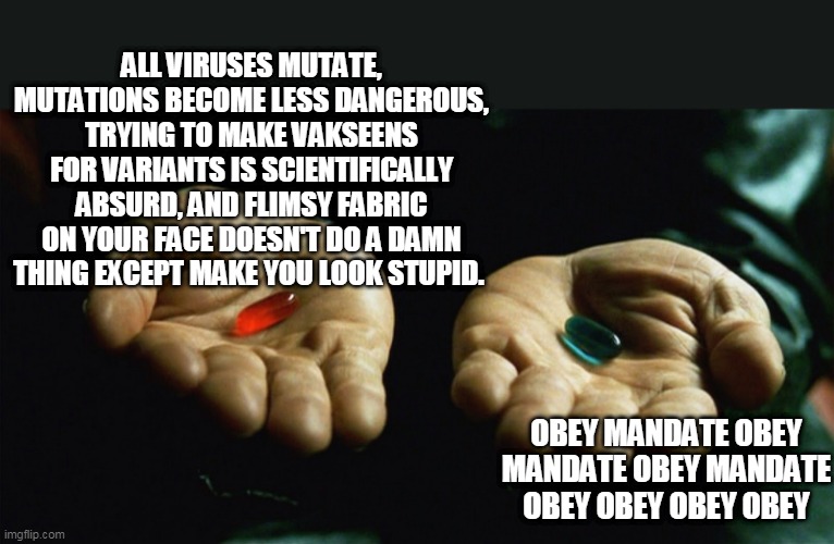 Red pill covid | ALL VIRUSES MUTATE, MUTATIONS BECOME LESS DANGEROUS, TRYING TO MAKE VAKSEENS FOR VARIANTS IS SCIENTIFICALLY ABSURD, AND FLIMSY FABRIC ON YOUR FACE DOESN'T DO A DAMN THING EXCEPT MAKE YOU LOOK STUPID. OBEY MANDATE OBEY MANDATE OBEY MANDATE OBEY OBEY OBEY OBEY | image tagged in red pill blue pill,covid,vaccine,masks | made w/ Imgflip meme maker
