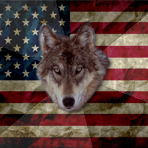Patriotic Wolf Blank Meme Template