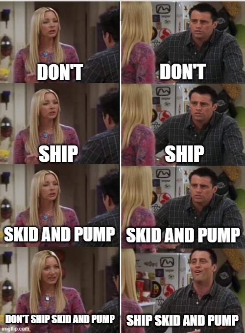 Phoebe Joey | DON'T DON'T SHIP SHIP SKID AND PUMP SKID AND PUMP SHIP SKID AND PUMP DON'T SHIP SKID AND PUMP | image tagged in phoebe joey | made w/ Imgflip meme maker