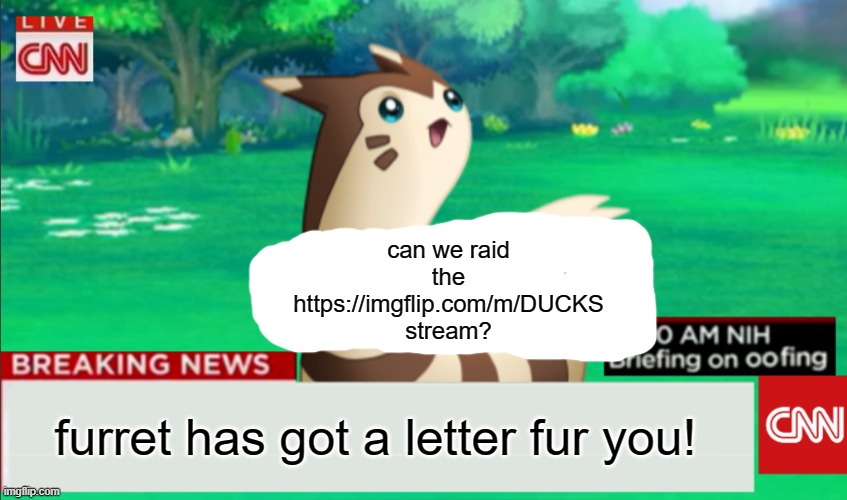 furrets rule over ducks | can we raid the https://imgflip.com/m/DUCKS stream? furret has got a letter fur you! | image tagged in breaking news furret | made w/ Imgflip meme maker