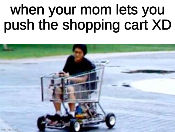 uhm | when your mom lets you push the shopping cart XD | image tagged in memes | made w/ Imgflip meme maker