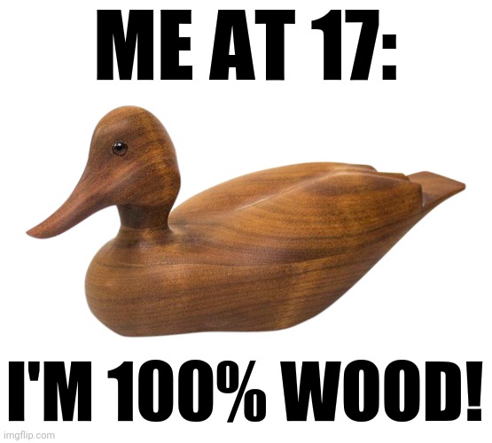 ME AT 17: I'M 100% WOOD! | made w/ Imgflip meme maker