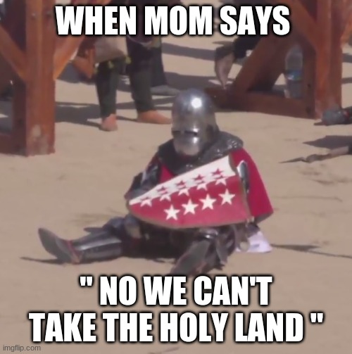 Sad crusader noises | WHEN MOM SAYS; " NO WE CAN'T TAKE THE HOLY LAND " | image tagged in sad crusader noises | made w/ Imgflip meme maker